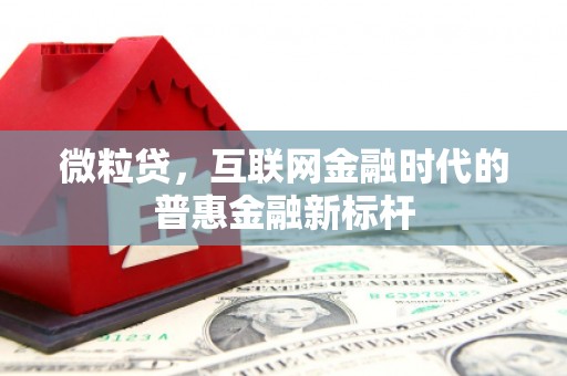 三穗微粒贷，互联网金融时代的普惠金融新标杆