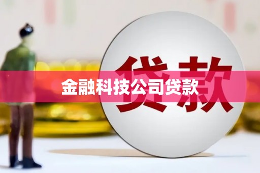 三穗金融科技公司贷款