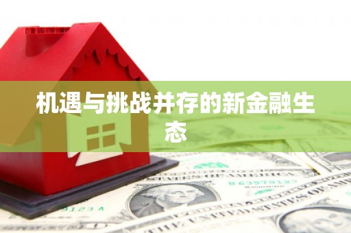 三穗机遇与挑战并存的新金融生态