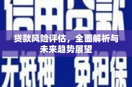 三穗贷款风险评估，全面解析与未来趋势展望