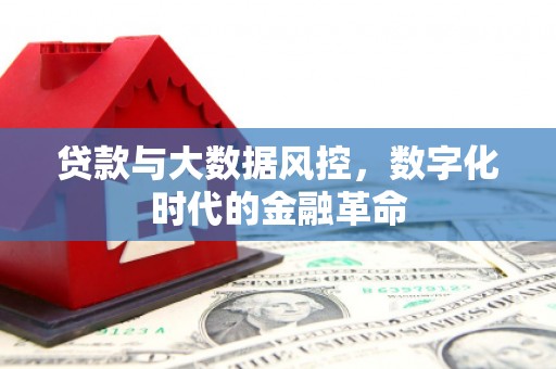 三穗贷款与大数据风控，数字化时代的金融革命