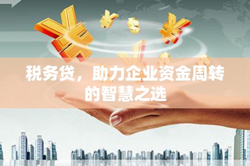 三穗税务贷，助力企业资金周转的智慧之选