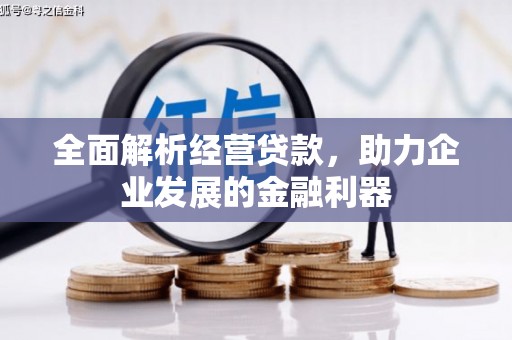 三穗全面解析经营贷款，助力企业发展的金融利器