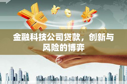 三穗金融科技公司贷款，创新与风险的博弈
