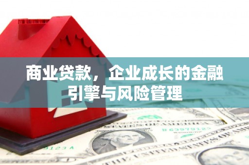 三穗商业贷款，企业成长的金融引擎与风险管理