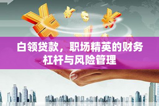 三穗白领贷款，职场精英的财务杠杆与风险管理