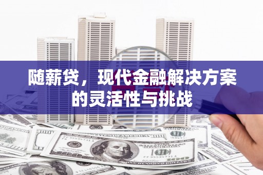三穗随薪贷，现代金融解决方案的灵活性与挑战