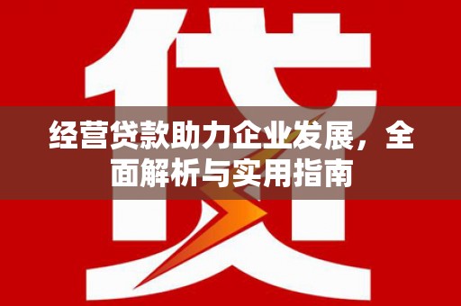 三穗经营贷款助力企业发展，全面解析与实用指南