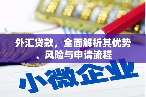 三穗外汇贷款，全面解析其优势、风险与申请流程