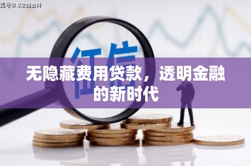 三穗无隐藏费用贷款，透明金融的新时代