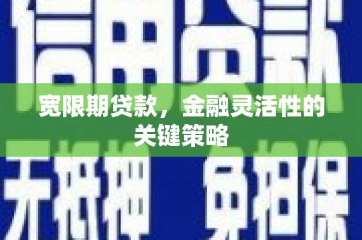 三穗宽限期贷款，金融灵活性的关键策略