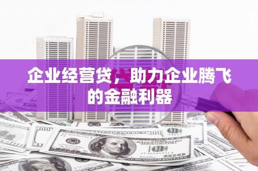 三穗企业经营贷，助力企业腾飞的金融利器