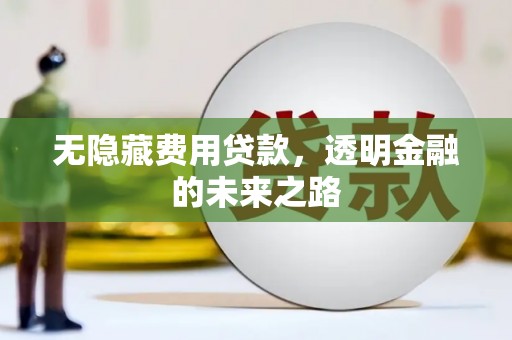 三穗无隐藏费用贷款，透明金融的未来之路