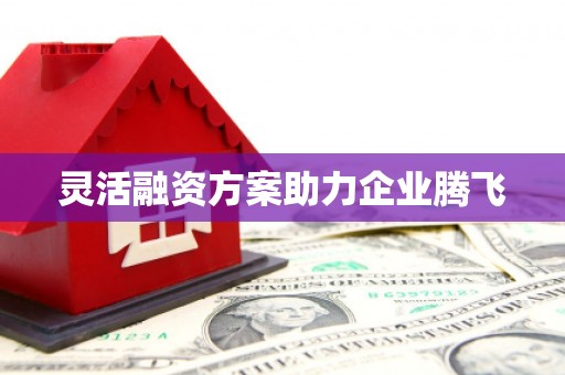 三穗灵活融资方案助力企业腾飞