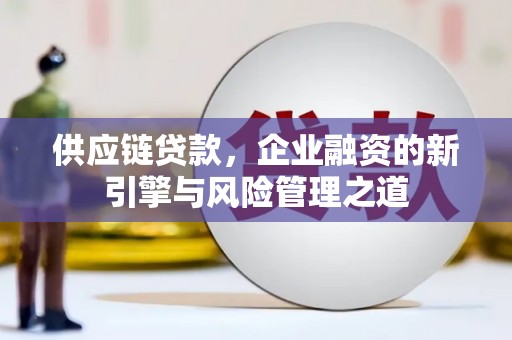 三穗供应链贷款，企业融资的新引擎与风险管理之道