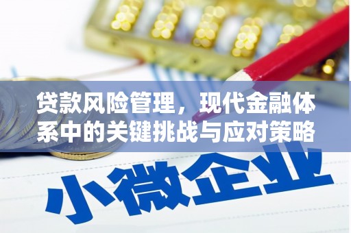 三穗贷款风险管理，现代金融体系中的关键挑战与应对策略