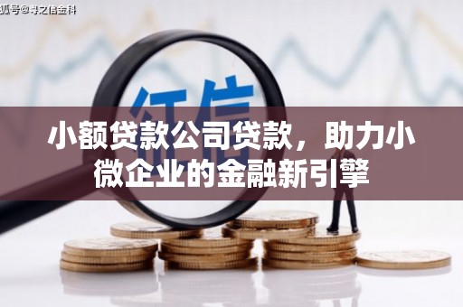 三穗小额贷款公司贷款，助力小微企业的金融新引擎