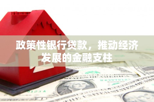 三穗政策性银行贷款，推动经济发展的金融支柱