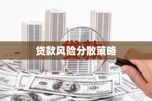 三穗贷款风险分散策略