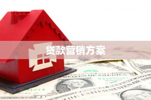 三穗贷款营销方案