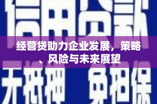 三穗经营贷助力企业发展，策略、风险与未来展望