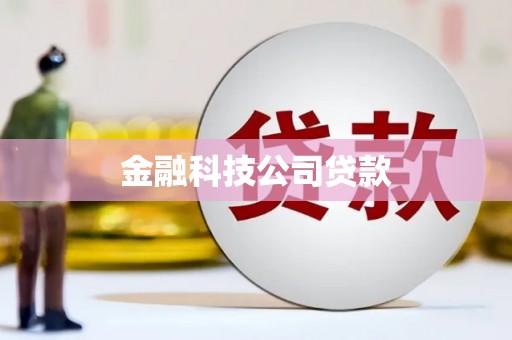 三穗金融科技公司贷款