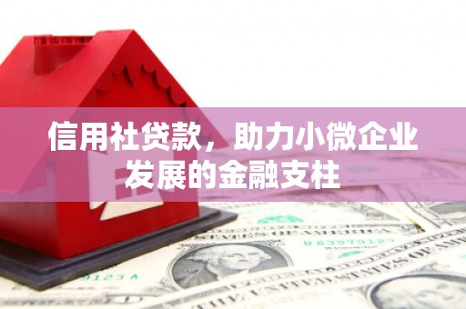三穗信用社贷款，助力小微企业发展的金融支柱
