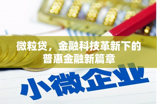 三穗微粒贷，金融科技革新下的普惠金融新篇章
