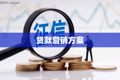 三穗贷款营销方案