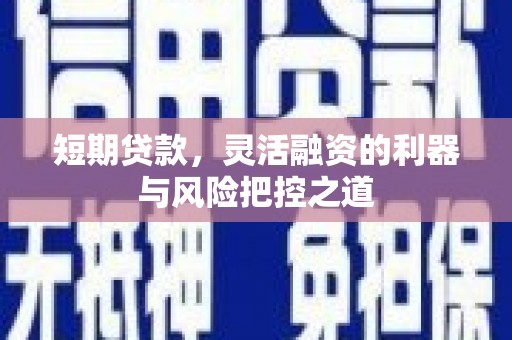 三穗短期贷款，灵活融资的利器与风险把控之道