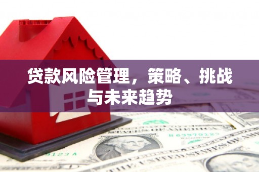 三穗贷款风险管理，策略、挑战与未来趋势