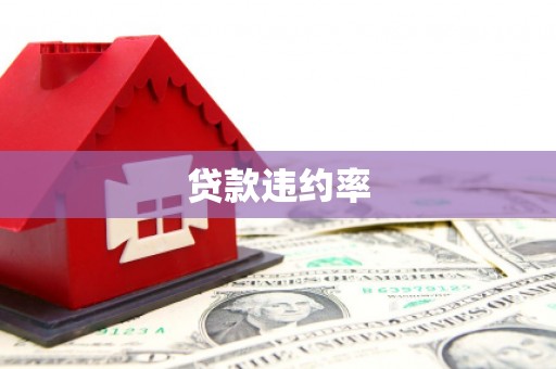 三穗贷款违约率
