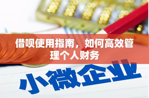三穗借呗使用指南，如何高效管理个人财务