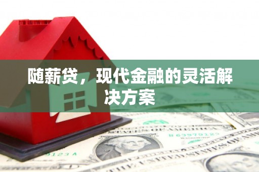 三穗随薪贷，现代金融的灵活解决方案