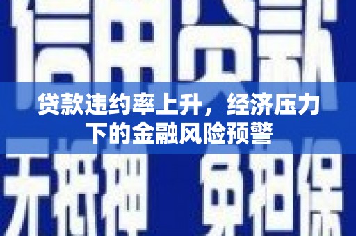 三穗贷款违约率上升，经济压力下的金融风险预警