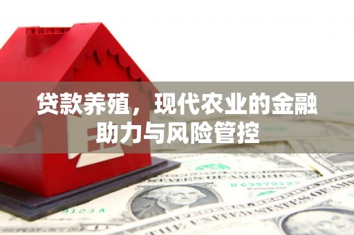 三穗贷款养殖，现代农业的金融助力与风险管控