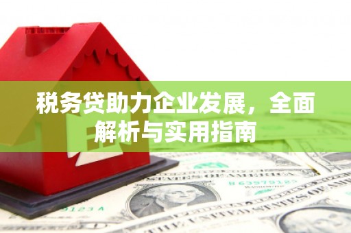 三穗税务贷助力企业发展，全面解析与实用指南
