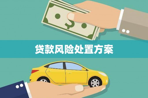 三穗贷款风险处置方案