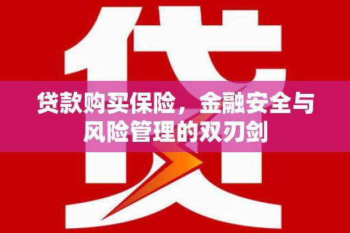 三穗贷款购买保险，金融安全与风险管理的双刃剑