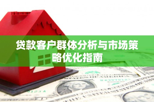 三穗贷款客户群体分析与市场策略优化指南