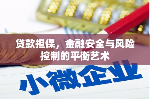 三穗贷款担保，金融安全与风险控制的平衡艺术