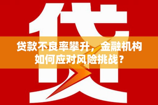 三穗贷款不良率攀升，金融机构如何应对风险挑战？