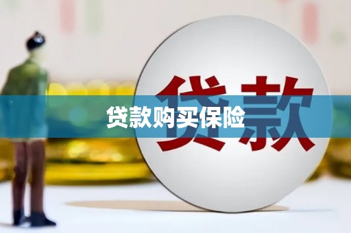 三穗贷款购买保险
