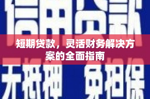三穗短期贷款，灵活财务解决方案的全面指南