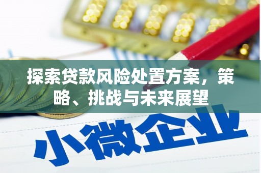 三穗探索贷款风险处置方案，策略、挑战与未来展望