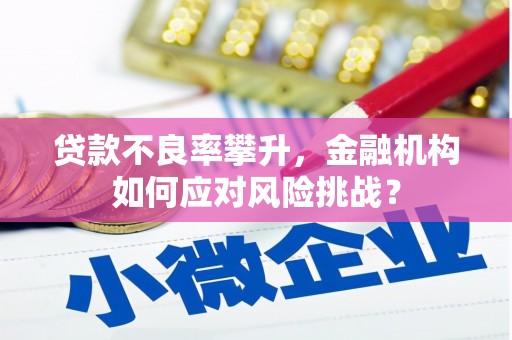 三穗贷款不良率攀升，金融机构如何应对风险挑战？