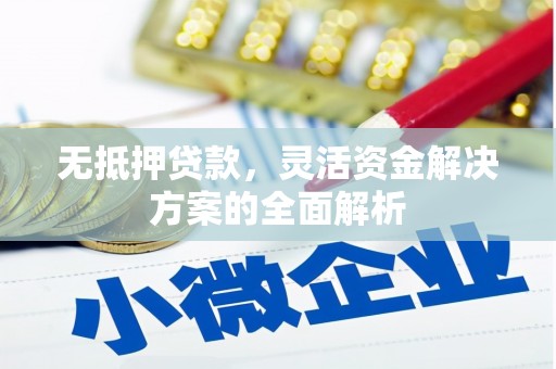 三穗无抵押贷款，灵活资金解决方案的全面解析