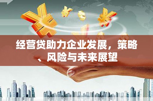 三穗经营贷助力企业发展，策略、风险与未来展望