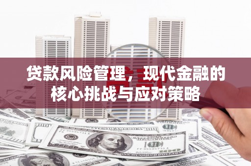三穗贷款风险管理，现代金融的核心挑战与应对策略