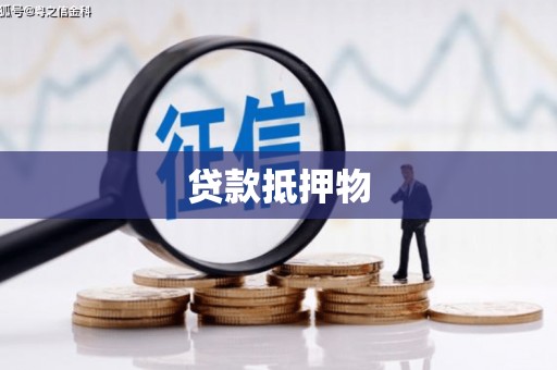 三穗贷款抵押物